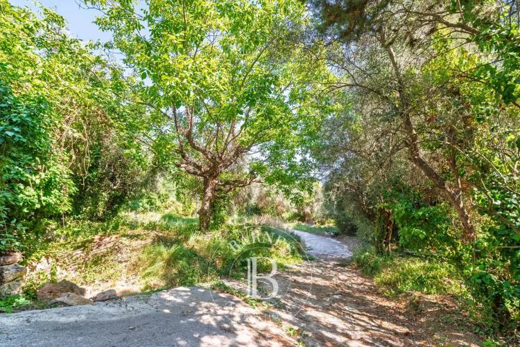 Grasse - Saint François - Terrain viabilisé vue mer - 2300m²